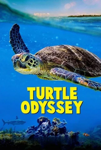Turtle Odyssey