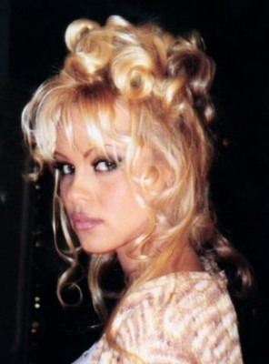 Pamela, A Love Story