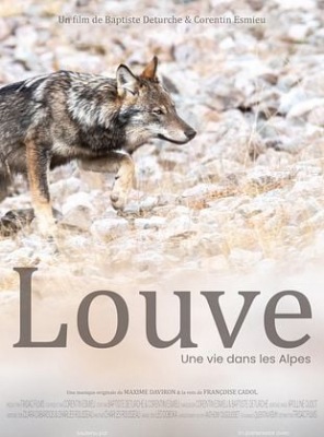 Louve, une vie dans les Alpes